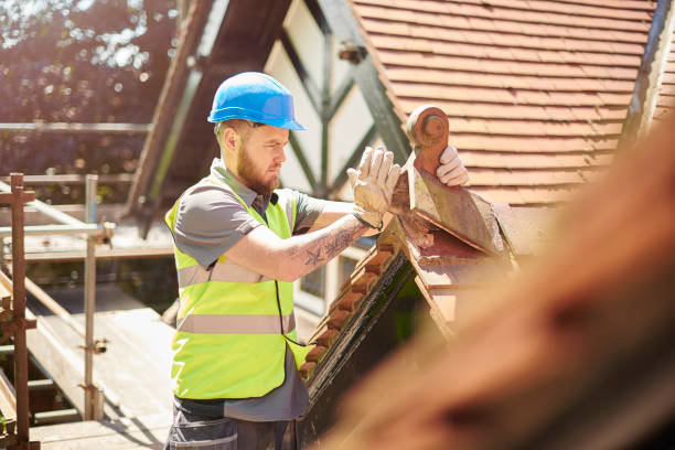 Best Roof Gutter Cleaning  in Camas, WA